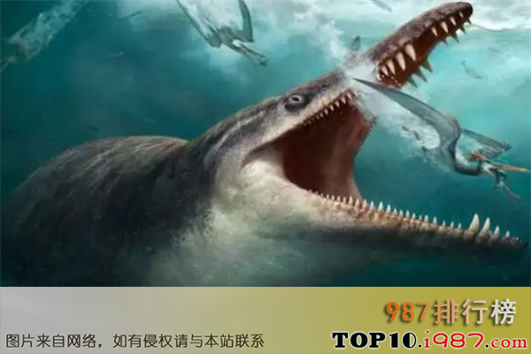 十大已灭绝的海洋动物之克柔龙