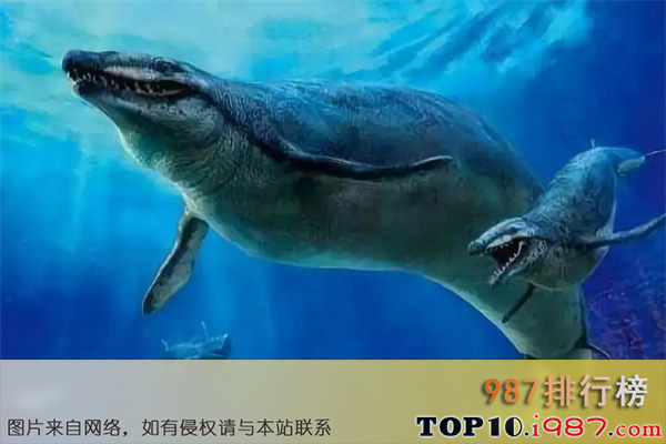 十大已灭绝的海洋动物之龙王鲸