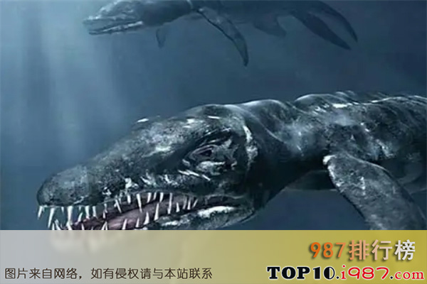 十大已灭绝的海洋动物之杯椎鱼龙