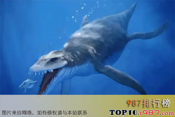 十大已灭绝的海洋动物之滑齿龙