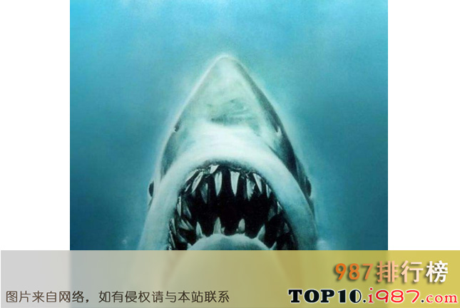 十大世界银幕怪兽之大白鲨