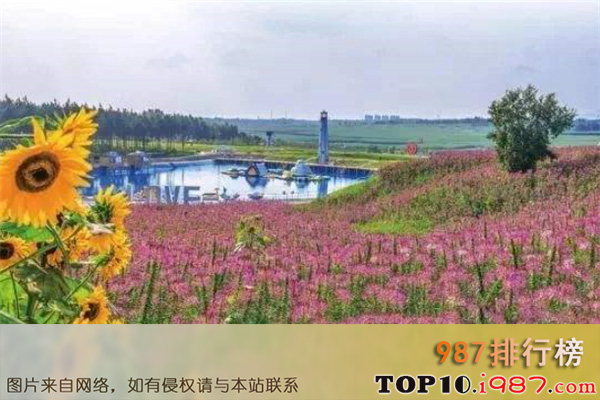 十大吉林风景名胜之北纬44度·金珠花海休闲农业旅游景区
