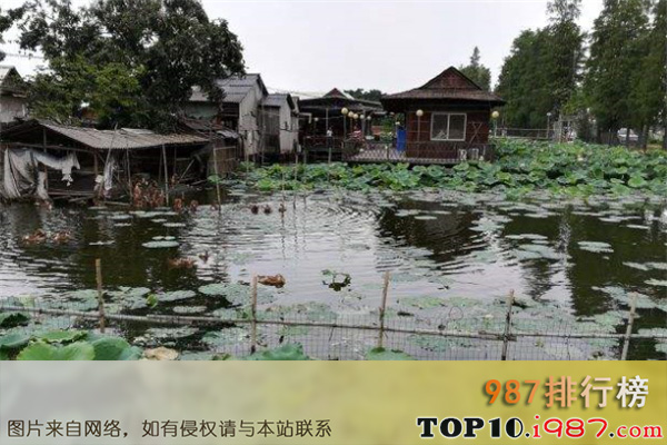 十大佛山本地玩乐场所之樵海港农庄