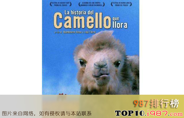 十大世界动物纪录片之哭泣的骆驼