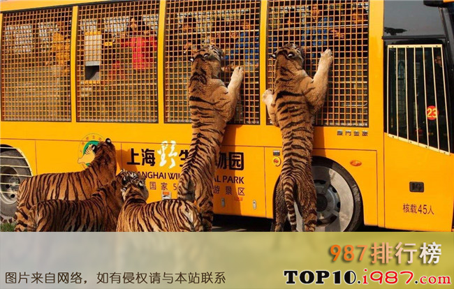 十大上海旅游景点推荐之上海野生动物园