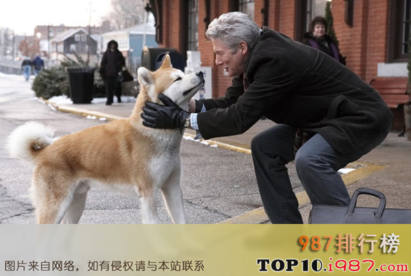 全球十大零差评催泪电影之忠犬八公的故事