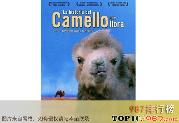 十大世界动物纪录片之哭泣的骆驼
