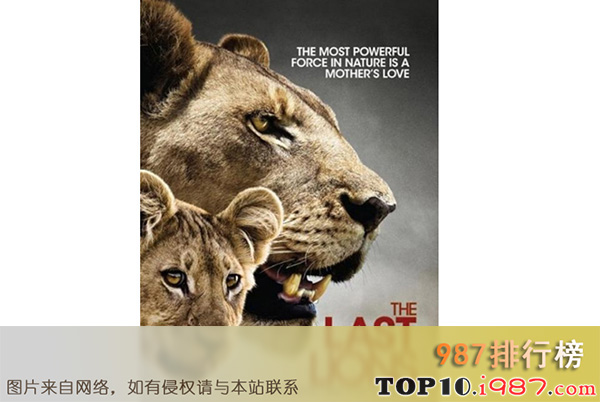 十大世界动物纪录片之最后的狮子