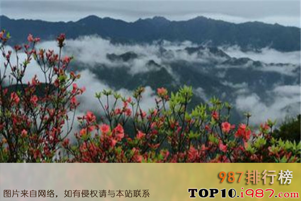 十大永州旅游景点之湖南阳明山国家森林公园