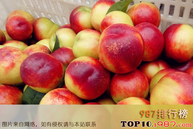 十大国内最好的油桃品种之红珍珠枣油桃