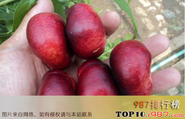 十大国内最好的油桃品种之明月油蟠桃