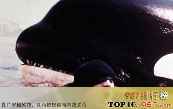 十大世界恐怖歌曲之世界十大恐怖歌曲之一：杀人鲸（埃尼奥·莫里康尼）