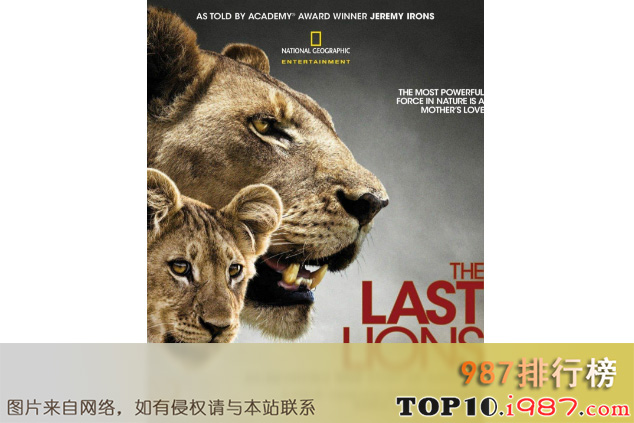 十大北美纪录电影之最后的狮子