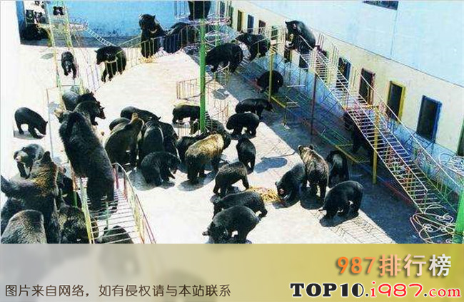 十大牡丹江景点大全榜之牡丹江黑宝熊乐园