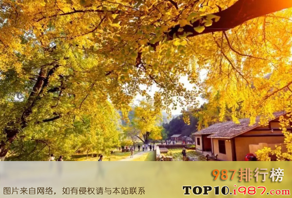 十大湖北旅游必去景区之中国千年银杏谷