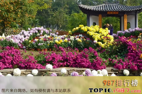 十大武汉春季旅游景点之武汉植物园