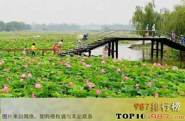 十大河北省旅游景点之白洋淀景区