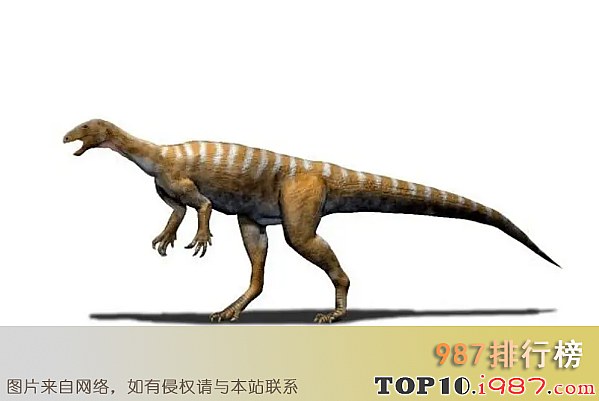 十大最弱的恐龙之 哈加佛鲁塔恐龙