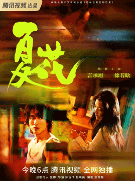 十大电视剧排行榜之夏花