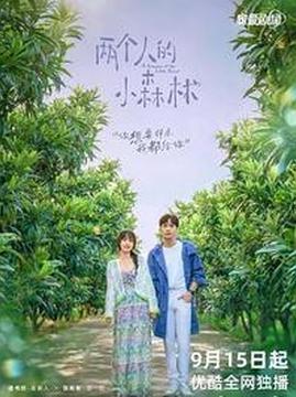 十大搞笑电视剧排行榜之两个人的小森林