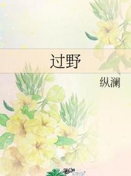 十大青春小说排行榜之过野