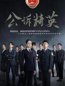 十大犯罪电视剧排行榜之公诉精英