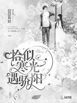 十大现代言情小说排行榜之恰似寒光遇骄阳