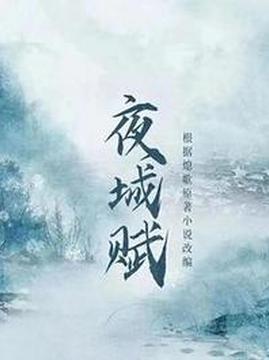 十大古装电视剧排行榜之夜城赋