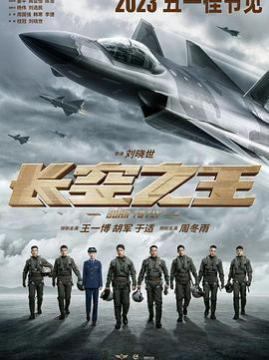 十大动作电影排行榜之长空之王