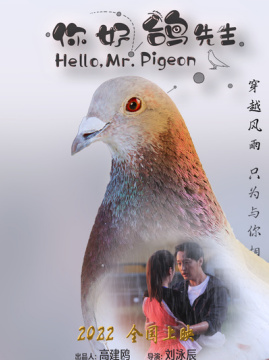 十大喜剧电影排行榜之你好，鸽先生