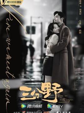 十大爱情电视剧排行榜之三分野