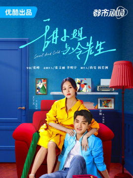 十大都市电视剧排行榜之甜小姐与冷先生