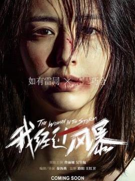 十大剧情电影排行榜之我经过风暴