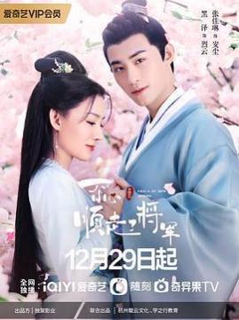 十大古装电视剧排行榜之一不小心顺走了将军