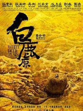 十大中国大陆电影排行榜之白鹿原