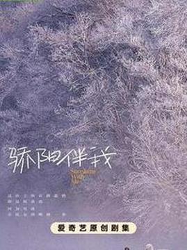 十大电视剧排行榜之骄阳伴我