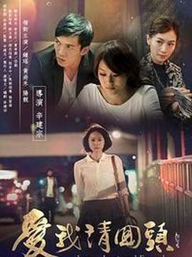 十大中国台湾电影排行榜之爱我请回头