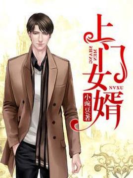 十大都市小说排行榜之上门女婿