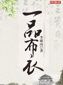 十大历史小说排行榜之一品布衣