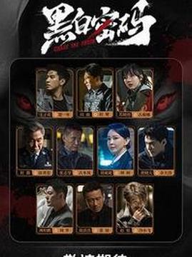 十大悬疑电视剧排行榜之黑白密码