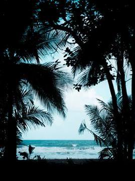 十大都市小说排行榜之邻居