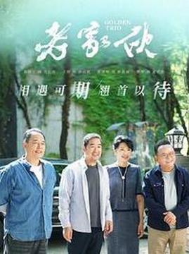 十大剧情电视剧排行榜之老家伙