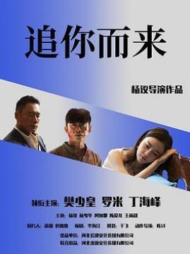 十大爱情电影排行榜之追你而来