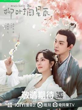 十大古装电视剧排行榜之柳叶摘星辰