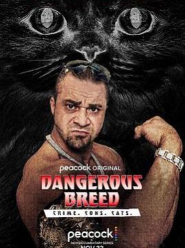 十大犯罪电影排行榜之坏种