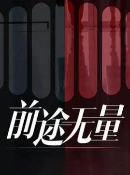 十大剧情电视剧排行榜之前途无量