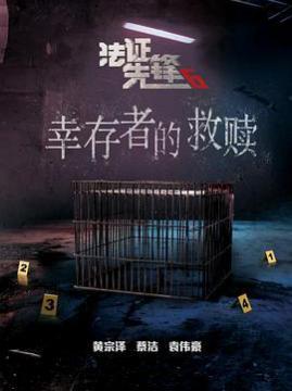 十大爱情电视剧排行榜之法证先锋6