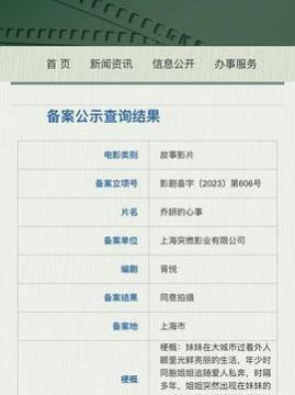 十大中国大陆电影排行榜之乔妍的心事