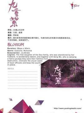 十大电视剧排行榜之九重紫