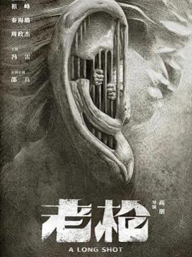 十大中国大陆电影排行榜之老枪